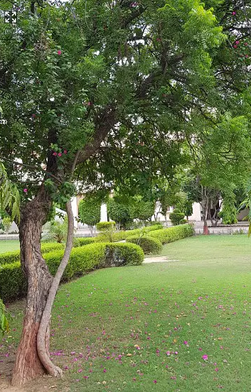 Apeejay Stya University Gurgaon Campus photo 8